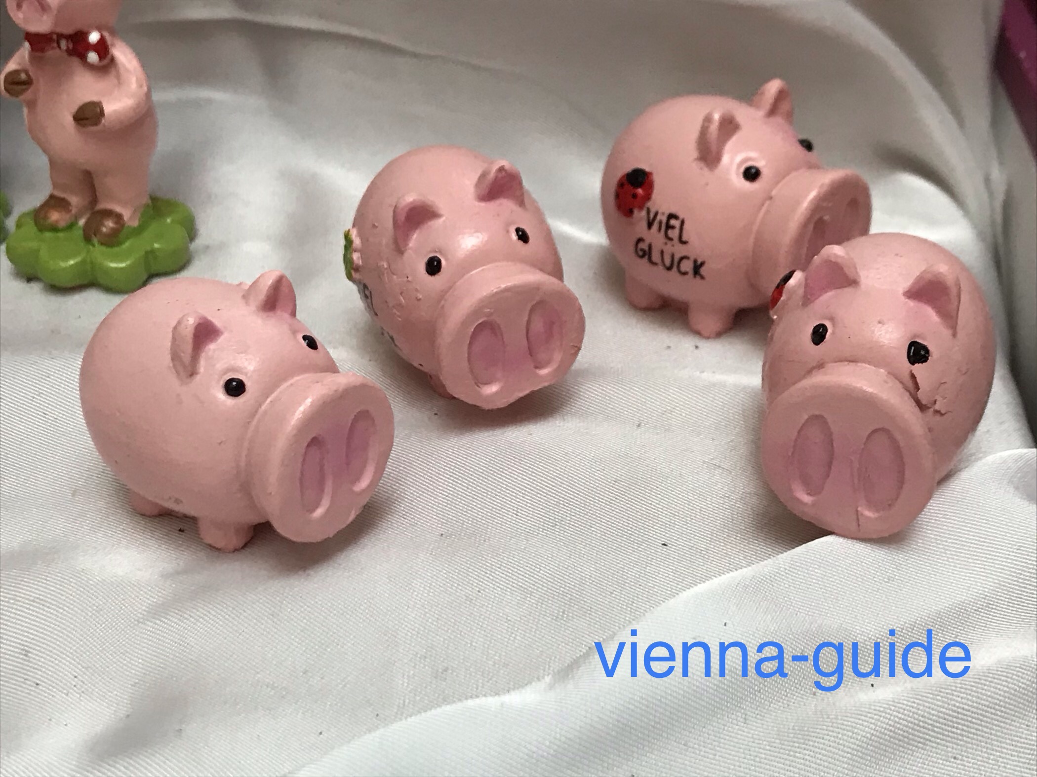 ピンクの豚ちゃんを年末 年始に贈ろう 現地ガイド発信 ウィーン最新情報